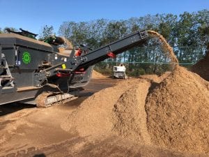 World environment day waste wood used as animal bedding